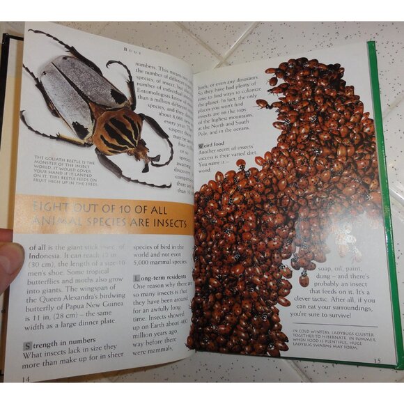 Vintage Secret Worlds Bugs A Close Up View of the Insect World Hardcover Book - Picture 8 of 16